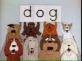 Sesame Street Dog
