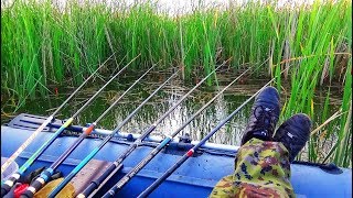 Мы взяли с собой на рыбалку удочки и меньшего брата