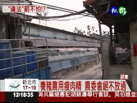 瘦肉精黑名單公布 "累犯"豬農喊冤