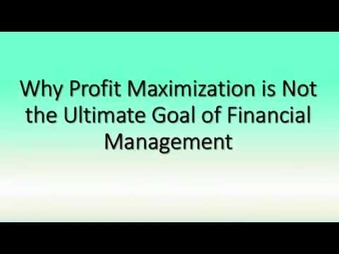 Why profit maximization is not the ultimate goal