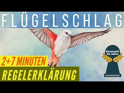 Flügelschlag Regeln Anleitung Erklärung Kennerspiel des Jahres 2019