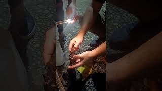 Achei ARMA nesta PONTE com super IMÃ de NEODÍMIO