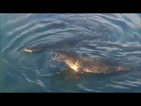 CUBA 2012 ( Havana-Trinidad-Cienfuegos )