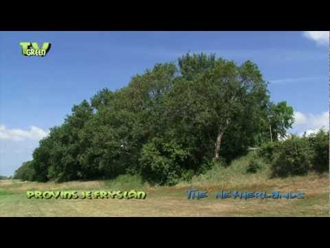 Klifkust Fryslân, Aldemardum, Gaasterlân - Friese klifkust, Oudemirdum, Gaasterland  #02