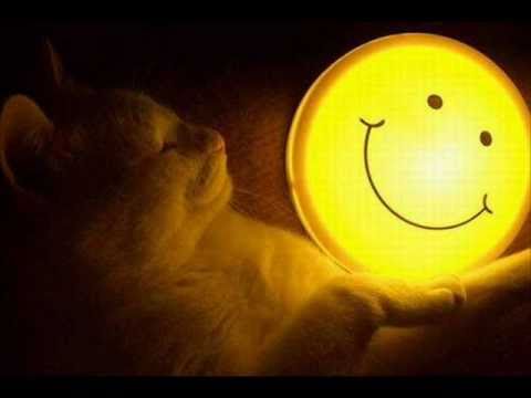 2010 kaledu sveikinimas.wmv