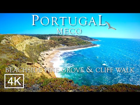 4K Beachside Pine Forest & Cliff Walk - Stunning Ocean Views - MECO Portugal 4K 2021 ASMR 60fps