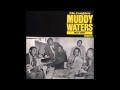 Muddy Waters, Loving man
