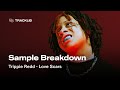Sample Breakdown Trippie Redd Love Scars
