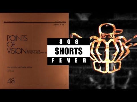 Sample(s) from John Cena's 'Basic Thugonomics'