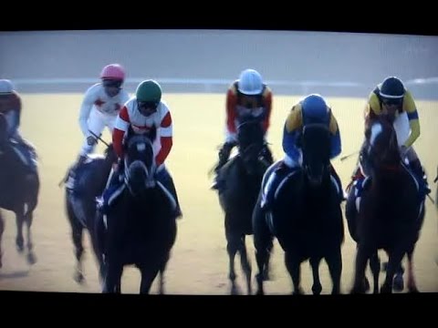 2014 第31回 マイルチャンピオンシップ G1 レース 結果。The Mile Championship G1 Races results.