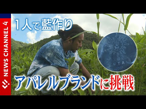 Cultivo de índigo em um canto de uma pequena cidade <NEWS CH.4>