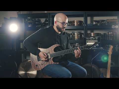 Lightfall | Archetype: Nolly 2.0.0