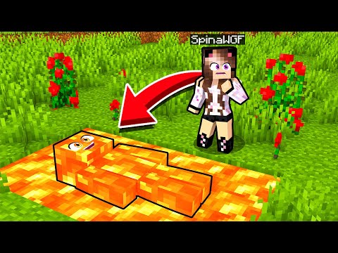 NASCONDINO MIMETICO IMPOSSIBILE SU MINECRAFT!!