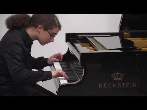 Dušan Dakić, Solistički koncert u Galeriji SANU, 13.01.2020.