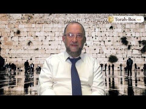 The Miraculous Steering Wheel - A Story About R' Moshe Feinstein - Rabbi Pesach Siegel