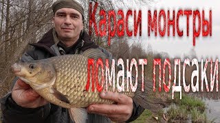 Ссылка
