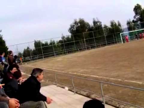 tirsense iniciados 2010-2011 (aves casa)