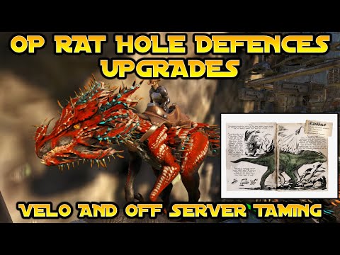 Getting Velonasaur's For Rat Hole - Upgrading Defenses | Small Tribes Unofficial PvP
