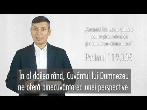 Promisiunea Zilei Robert Mandache
