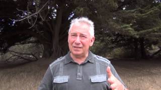 США 541: Променад в теплой компании у холодного океана. Прораб о Текилле.