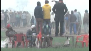 Takhanwadh Ox Race Part 1