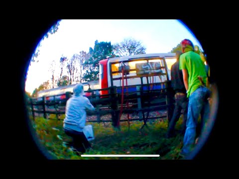 System Tumours - Introduction - London Graffiti Film SMT