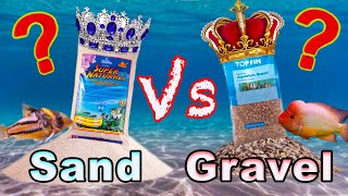 Aquarium Substrate Showdown: Sand vs Gravel! Does it Even Ma