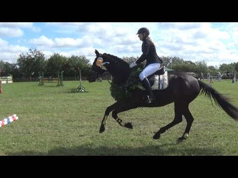 Erstes Springen - Sieg mit 8,2