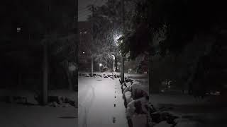 ［ログ］雪がすげぇ降ってんなぁ