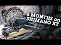 Long-Term Test: 8 Months on Shimano XT M8100