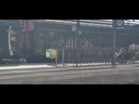 Transit of train DB E.483 (DB Cargo), Piacenza 07/06/2024