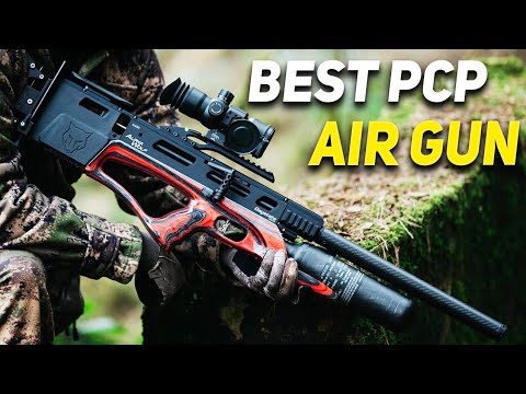 Top 10 Best PCP Air Guns In the World (2023)