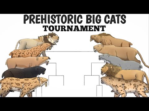 PREHISTORIC BIG CATS TOURNAMENT - ANIMATION