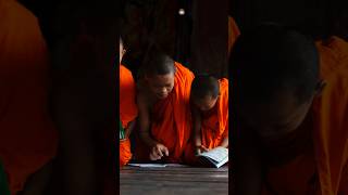 The Monk's Lesson: Face Challenges Head-On #budddha #buddhamonk #monk #monklife #bikshu #biksu