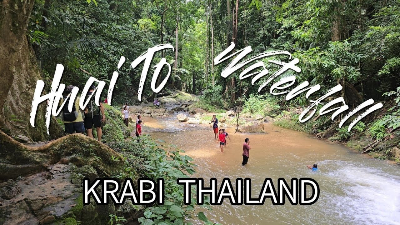 Embark on an immersive walking tour of Khao Phanom Bencha National Park.