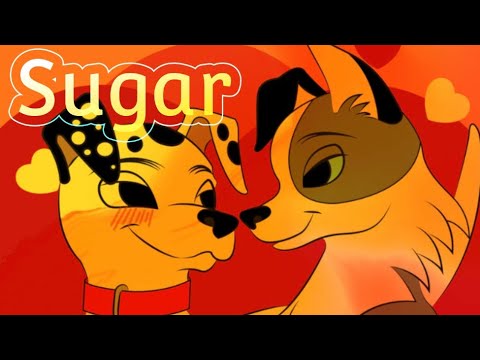 Dylan x Summer and Duchess x Thomas O’Mailey Sugar MEP Part