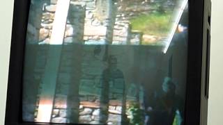 Red Krayola in Gent in 1980