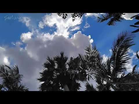 #weather #cloud #clouds #timelapse #timelapseclouds #timelapsevideo #cloudysky #bluesky