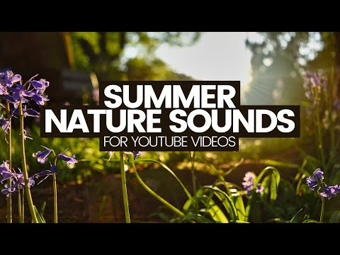 Nature Sound Effects For YouTube Videos (No copyright Royalty-free audio)