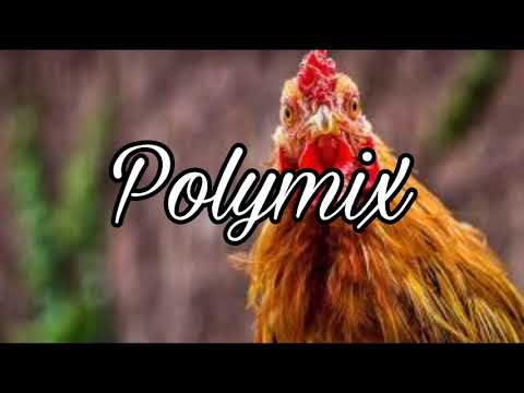 Dj Dave O LE FAASOPOGA MOA ft SHORTY KAP 2k19 REMIX