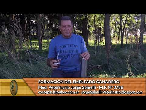 Dr. Jorge Spinelli -  Formación del Empleado Ganadero