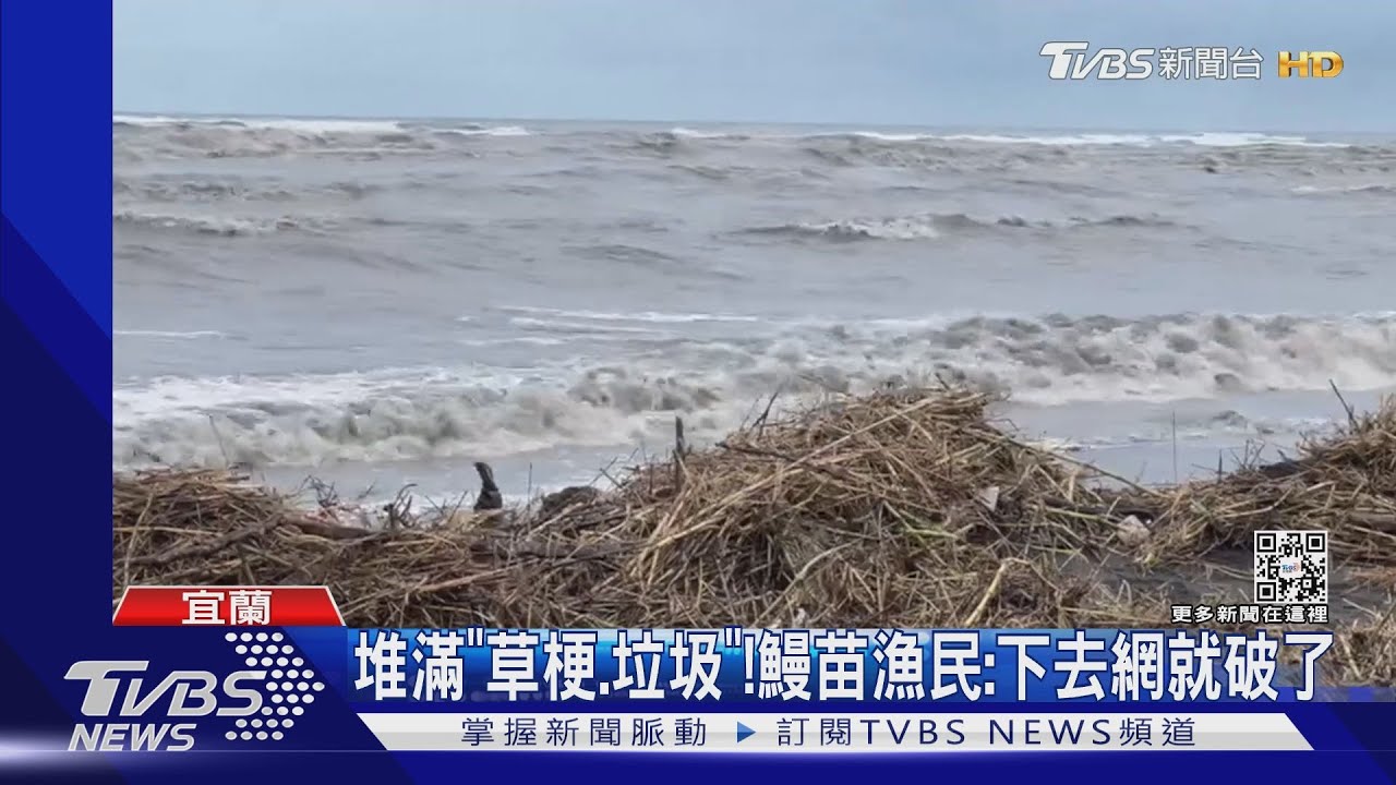 堆滿「草梗、垃圾」! 鰻苗漁民:下去網就破了