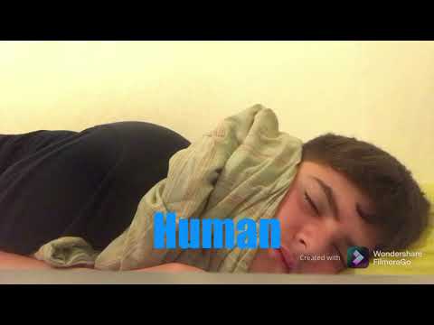 Humans, Inc. Part 2 - Morning Workout/Humantropolis