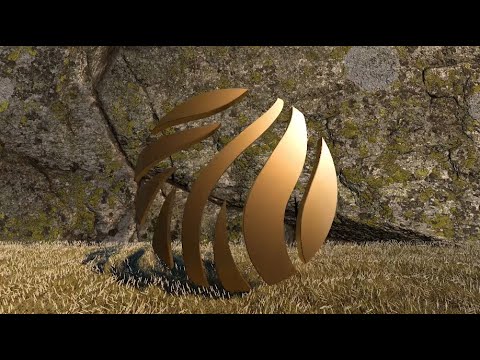 Dreamers Delight - Synergy