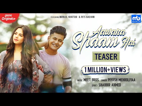 Poster आवारा शाम है aawara shaam hai – meet bros