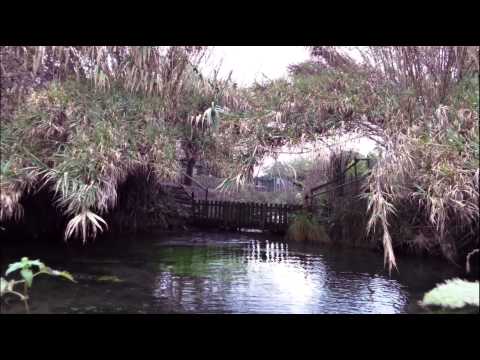 Risorgive Castel d'Azzano Verona Italy