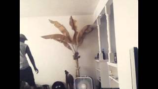 Avery Wilson - Change My Mind ft. Migos