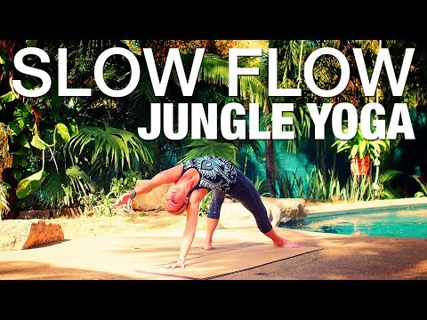 Slow Flow Jungle Yoga Class - Five Parks Yoga