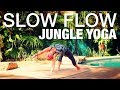 Slow Flow Jungle Yoga Class - Five Parks Yoga
