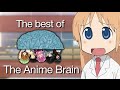 The Best Of The Anime Brain 50K Subscriber Special